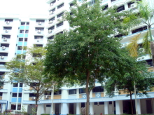 Blk 503 Woodlands Drive 14 (Woodlands), HDB 5 Rooms #358612